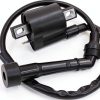 DABAZUALY ATV Ignition Coil for Yamaha Rhino 660-1