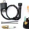 DABAZUALY ATV Ignition Coil for Yamaha Rhino 660-0