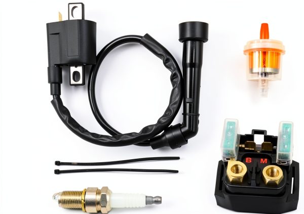 DABAZUALY ATV Ignition Coil for Yamaha Rhino 660-0