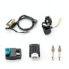 GREHUA Ignition Coil Starter Solenoid Voltage Regulator CDI Compatible with Tao tao Coolster 125cc 110cc 90cc Kazuma Baja Chinese ATV Quad 4 Wheeler SSR Lifan CRF70 4 Stroke Go Kart Dirt Bike Parts-5