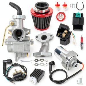 PZ20 Carburetor Ignition Coil Starter Motor Relay Voltage Regulator CDI Box Kit Compatible with Tao tao Coolster 125cc 110cc Kazuma Baja 50cc Chinese ATV Quad 4 Wheeler Go Kart Dirt Bike Parts-0